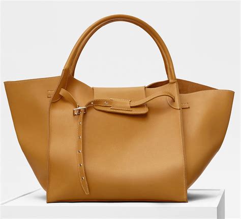 Céline Pocket Handbag for Women 